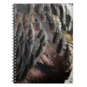 Wild Turkey Feathers I Abstract Natuur Design Notitieboek (Voorkant)