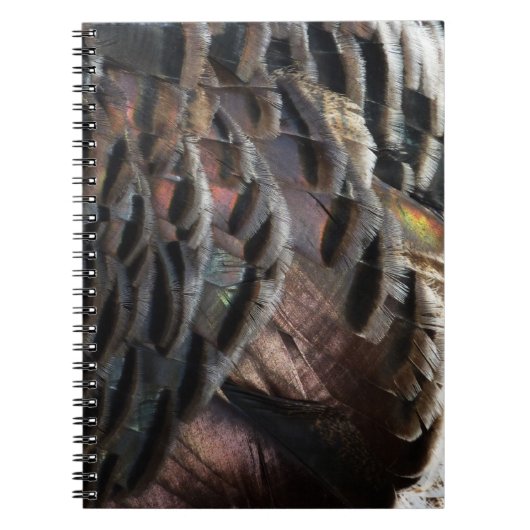 Wild Turkey Feathers I Abstract Natuur Design Notitieboek (Voorkant)