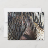Wild Turkey Feathers I Abstract Natuur Design Notitiekaartje (Voorkant)