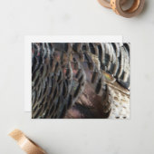 Wild Turkey Feathers I Abstract Natuur Design Notitiekaartje (Voorkant / Achterkant in situ)