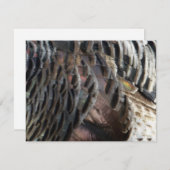 Wild Turkey Feathers I Abstract Natuur Design Notitiekaartje (Voorkant / Achterkant)