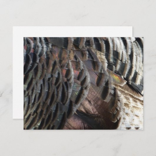 Wild Turkey Feathers I Abstract Natuur Design Notitiekaartje (Voorkant / Achterkant)