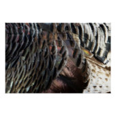 Wild Turkey Feathers I Abstract Natuur Design Poster (Voorkant)