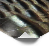Wild Turkey Feathers I Abstract Natuur Design Poster (Hoek)