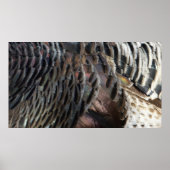 Wild Turkey Feathers I Abstract Natuur Design Poster (Voorkant)