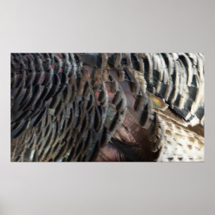 Wild Turkey Feathers I Abstract Natuur Design Poster