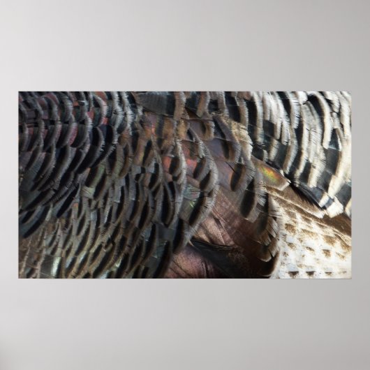 Wild Turkey Feathers I Abstract Natuur Design Poster (Voorkant)