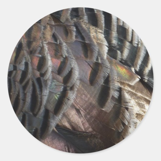 Wild Turkey Feathers I Abstract Natuur Design Ronde Sticker (Voorkant)
