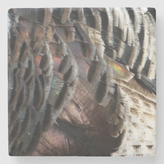 Wild Turkey Feathers I Abstract Natuur Design Stenen Onderzetter (Voorkant)