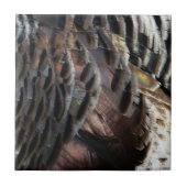 Wild Turkey Feathers I Abstract Natuur Design Tegeltje (Voorkant)