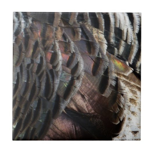 Wild Turkey Feathers I Abstract Natuur Design Tegeltje (Voorkant)