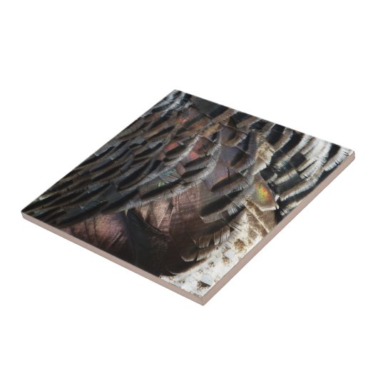 Wild Turkey Feathers I Abstract Natuur Design Tegeltje (Zijkant)