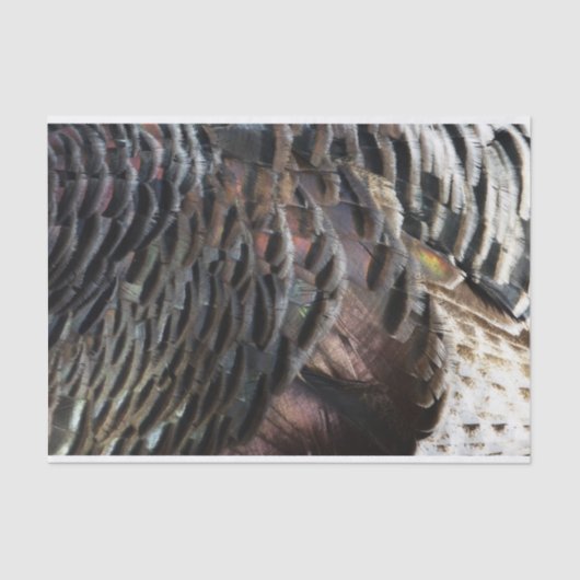 Wild Turkey Feathers I Abstract Natuur Design Tissuepapier (Voorkant)