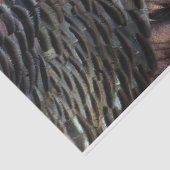 Wild Turkey Feathers I Abstract Natuur Design Tissuepapier (Detail)