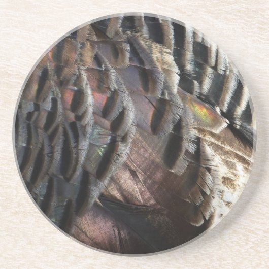 Wild Turkey Feathers I Abstract Natuur Design Zandsteen Onderzetter (Voorkant)