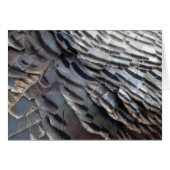 Wild Turkey Feathers II Abstract Natuur Design (Voorkant Horizontaal)