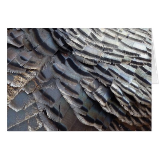 Wild Turkey Feathers II Abstract Natuur Design (Voorkant Horizontaal)