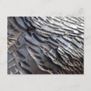 Wild Turkey Feathers II Abstract Natuur Design Briefkaart