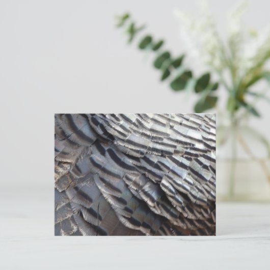 Wild Turkey Feathers II Abstract Natuur Design Briefkaart (Staand voorkant)