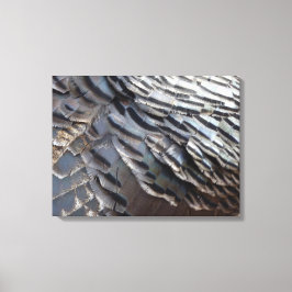 Wild Turkey Feathers II Abstract Natuur Design Canvas Afdruk