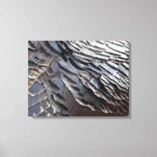 Wild Turkey Feathers II Abstract Natuur Design Canvas Afdruk (Voorkant)