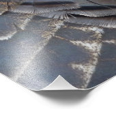 Wild Turkey Feathers II Abstract Natuur Design Foto Afdruk (Hoek)