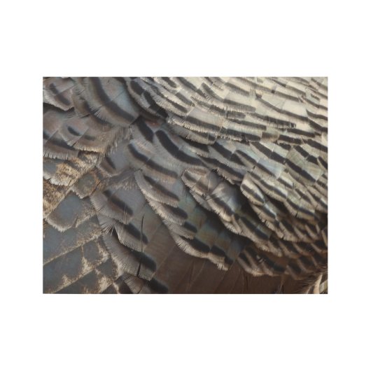 Wild Turkey Feathers II Abstract Natuur Design Houten Poster (Voorkant)