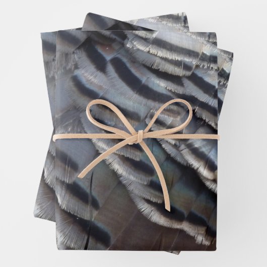 Wild Turkey Feathers II Abstract Natuur Design Inpakpapier Vel (In situ)