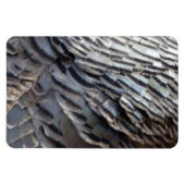 Wild Turkey Feathers II Abstract Natuur Design Magneet (Horizontaal)