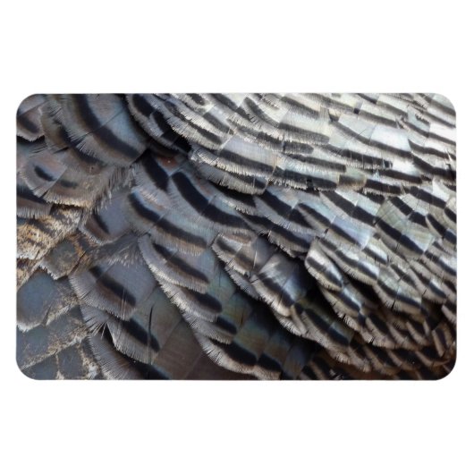 Wild Turkey Feathers II Abstract Natuur Design Magneet (Horizontaal)
