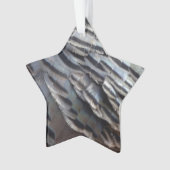 Wild Turkey Feathers II Abstract Natuur Design Ornament (voorkant)