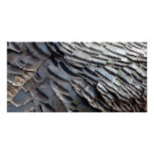 Wild Turkey Feathers II Abstract Natuur Design Perfect Poster (Voorkant)