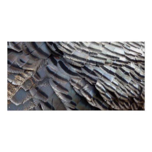 Wild Turkey Feathers II Abstract Natuur Design Perfect Poster (Voorkant)