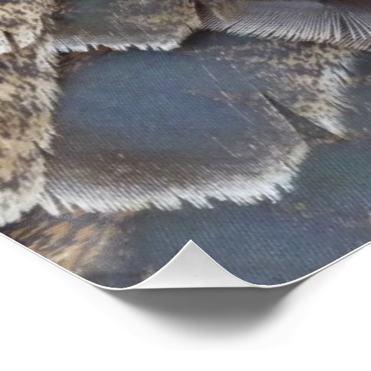 Wild Turkey Feathers II Abstract Natuur Design Perfect Poster (Hoek)