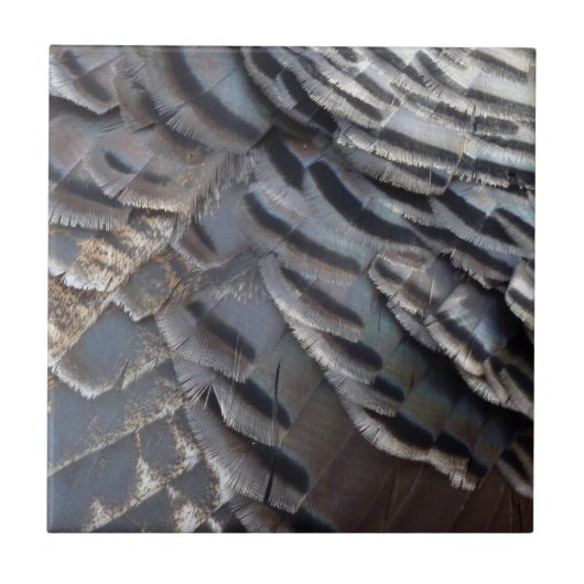 Wild Turkey Feathers II Abstract Natuur Design Tegeltje (Voorkant)