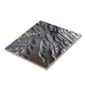 Wild Turkey Feathers II Abstract Natuur Design Tegeltje (Zijkant)