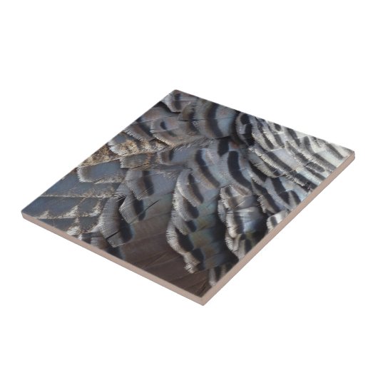 Wild Turkey Feathers II Abstract Natuur Design Tegeltje (Zijkant)