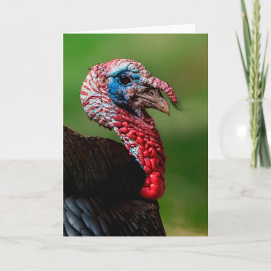 Wild Turkey - Hartelijk dank Bedankkaart (Voorkant)