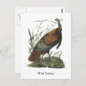 Wild Turkey, John Audubon Briefkaart (Voorkant / Achterkant)