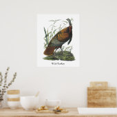 Wild Turkey, John Audubon Poster (Keuken)