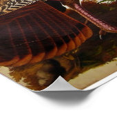 Wild Turkey, John James Audubon Poster (Hoek)