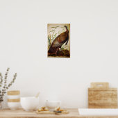 Wild Turkey, John James Audubon Poster (Keuken)