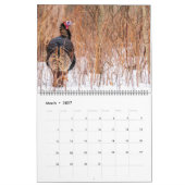 Wild Turkey Kalender (Mar 2027)