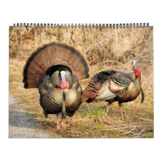 Wild Turkey Kalender