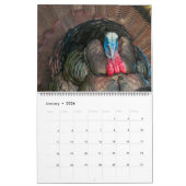 Wild Turkey Kalender (Jan 2026)