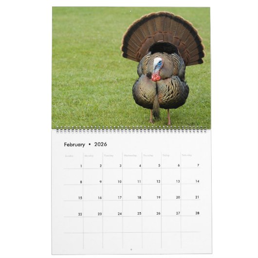 Wild Turkey Kalender (Feb 2026)