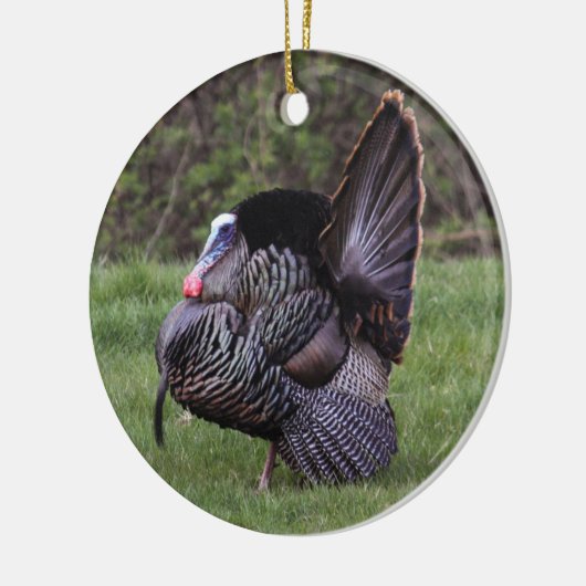 Wild Turkey Keramisch Ornament (Links)
