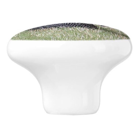 Wild Turkey Keramische Knop (Zijkant)