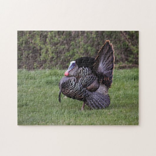 Wild Turkey Legpuzzel (Horizontaal)