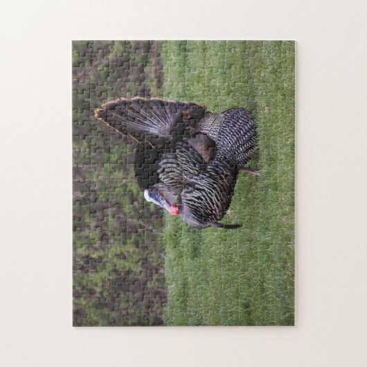 Wild Turkey Legpuzzel (Verticaal)